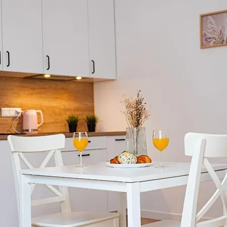 Apartment Komfortowy W Centrum